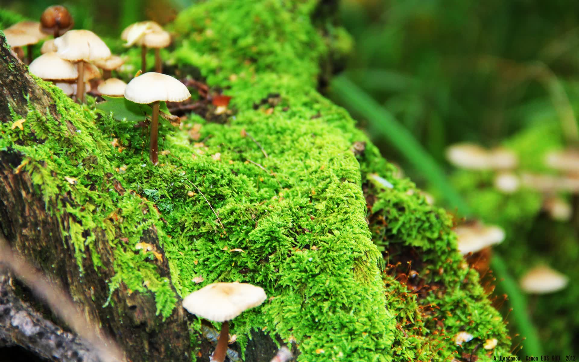 世界游艇青年赛航海知识讲座吸睛,游艇协会